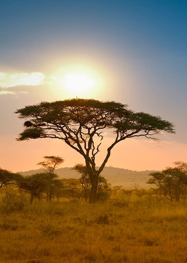 Africa Sunset | GAIA Legacy Travel