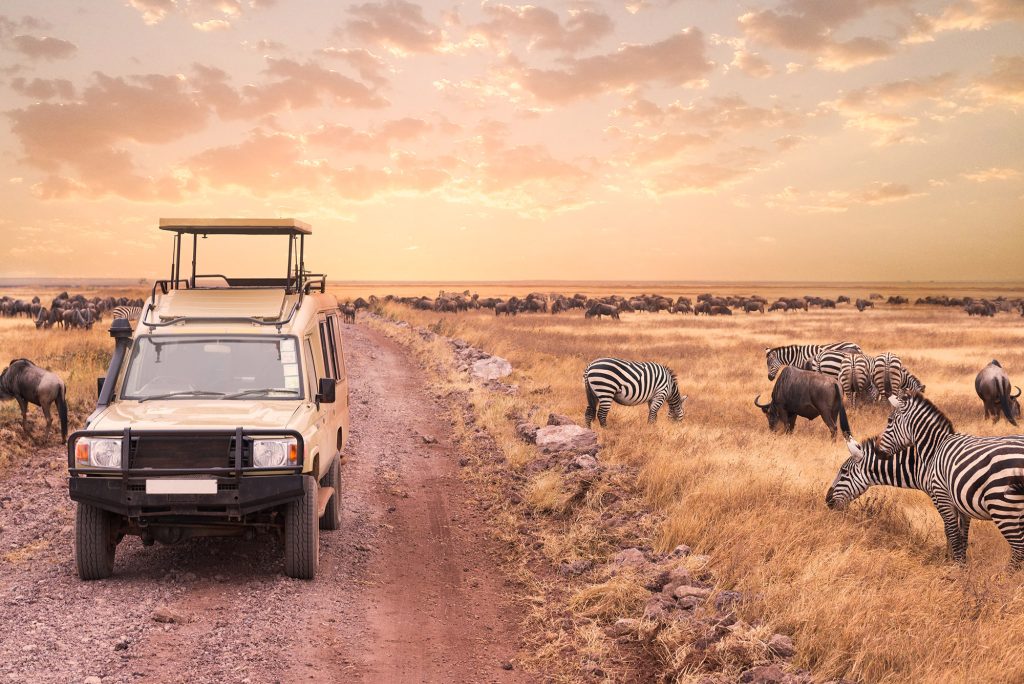 Gold African Safari | GAIA Legacy Travel
