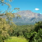 Arusha | GAIA Legacy Travel
