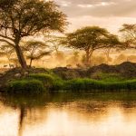 Serengeti Luxury Safari | GAIA Legacy Travel