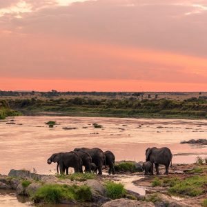 Serengeti | GAIA Legacy Travel