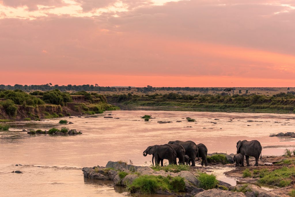 Tarangire Luxury Safari | GAIA Legacy Travel