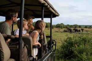 Can Families Go On An African Safari Gaia Legacy Travel | Gaia Legacy Travel Can Families Go On An African Safari - Gaia Legacy Travel