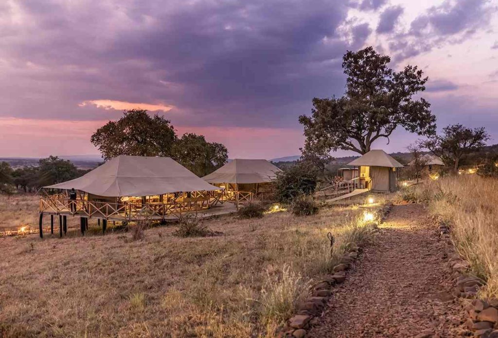 What is the Best Safari Itinerary in Africa - Gaia Legacy Travel