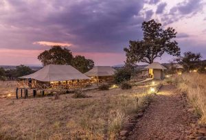 What is the Best Safari Itinerary in Africa - Gaia Legacy Travel