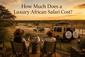 How Much Does a Luxury African Safari Cost - Gaia Legacy Travel