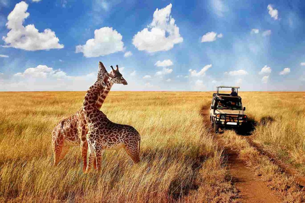 What Is the Serengeti Famous For - Gaia Legacy Travel